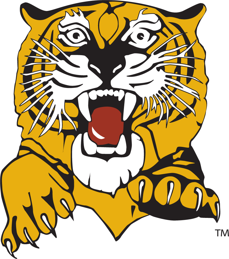 Missouri Tigers 1977-1995 Secondary Logo t shirts iron on transfers